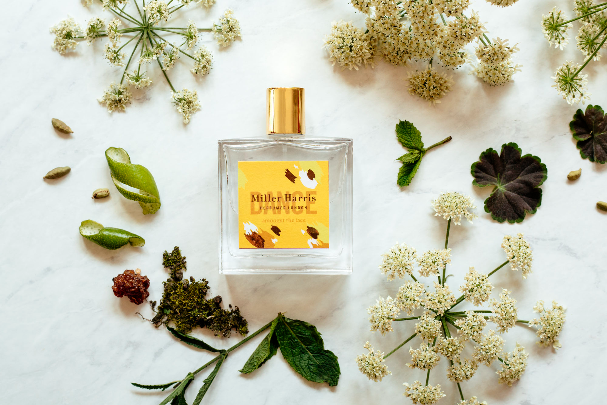 Miller Harris - Một thương hiệu nước hoa độc đáo tại London Hinh anh 4: Miller Harris - Mot thuong hieu nuoc hoa doc dao tai London