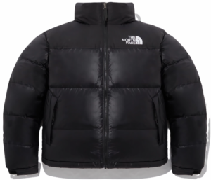 Ao The North Face Nuptse 'Black' NJ1DM60A
