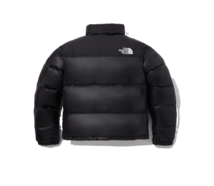 Ao The North Face Nuptse 'Black' NJ1DM60A