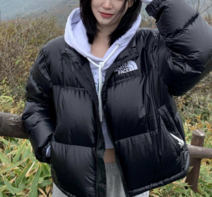 Ao The North Face Nuptse 'Black' NJ1DM60A