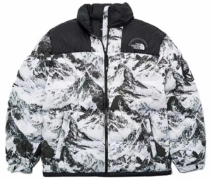Ao The North Face FW22 ‘White Black’ NJ1DN57A