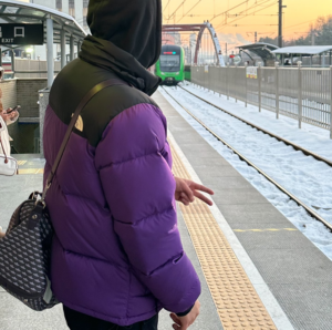 Ao The North Face 1996 Eco Nuptse ‘Purple’ NJ1DN55D
