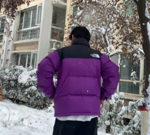 Ao The North Face 1996 Eco Nuptse ‘Purple’ NJ1DN55D
