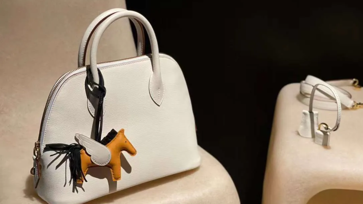 Hinh anh 2: Hermes Bolide: Ve dep cua su don gian