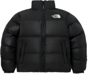 Ao The North Face 'Nuptse On Ball' NJ3NP55A