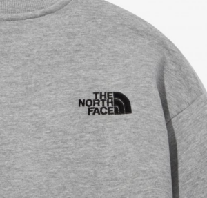Ao The North Face Basic Sweatshirt 'Grey' NM5MN90C