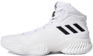 Giay Adidas Pro Bounce 2018 'White Black' FW5745