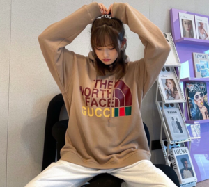 Ao Gucci x The North Face Cotton Hoodie 'Brown' 615061-XJDBY-2597