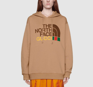 Ao Gucci x The North Face Cotton Hoodie 'Brown' 615061-XJDBY-2597