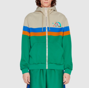Ao Gucci x The North Face Hooded Jacket 'Green' 675542-XJDWR-9172