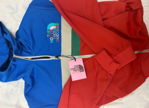 Ao Gucci  x The North Face Hooded Jacket 'Multi' 675542-XJDWR-4107