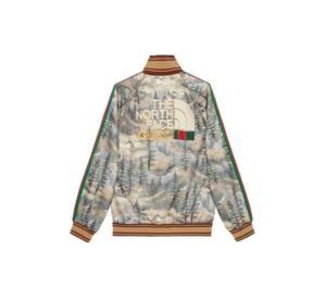 Ao Gucci x The North Face Jacket 'Forest' 671444-XJDQ8-3229