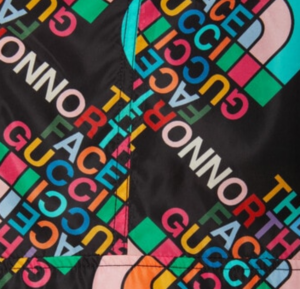 Ao Gucci x The North Face Jacket 'Multi' 671467-ZAH9K-1478