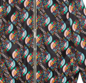 Ao Gucci x The North Face Zip Jacket 'Multi' 675544-XJDWY-1072
