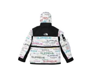 Ao Supreme x The North Face Week 9 'White' SUP-FW21-261