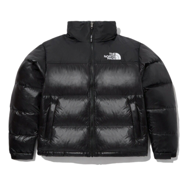 Ao The North Face 1996 Eco Nuptse Jacket 'Black' NJ1DP75C
