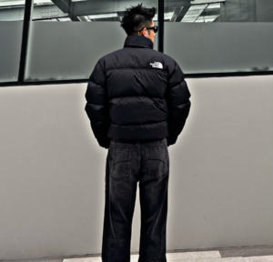 Ao The North Face 1996 Eco Nuptse Jacket 'Black' NJ1DP75C