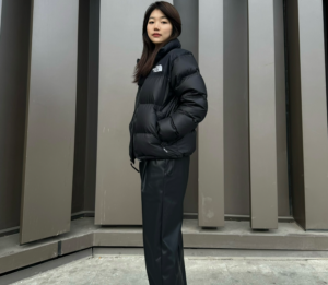 Ao The North Face 1996 Eco Nuptse Jacket 'Black' NJ1DP75C