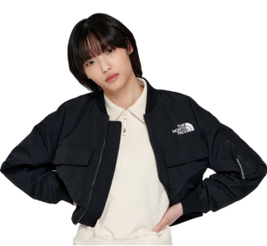 Ao The North Face Bomber Jacket 'Black' NJ3BP12J