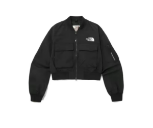 Ao The North Face Bomber Jacket 'Black' NJ3BP12J