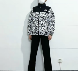 Ao The North Face Down Jackets 'Dark Beige' NJ1DN51P