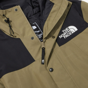 Ao The North Face Eco Gore-Tex GTX Mountain Jacket 'Dune' NJ2GP51C