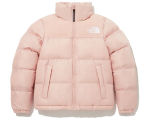 Ao The North Face FW23 'Pink' NJ3NP85C