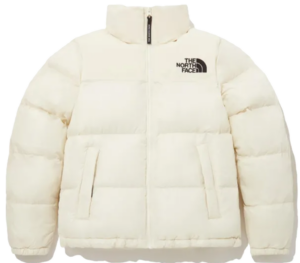 Ao The North Face 'Ivory White' NJ3NP85A