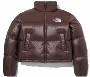 Ao The North Face Label Novelty Nuptse 'Brown' NJ1DP85P