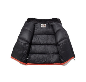 Ao The North Face Novelty Nuptse Down Jacket 'Multi' NJ1DL50J