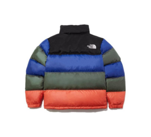 Ao The North Face Novelty Nuptse Down Jacket 'Multi' NJ1DL50J