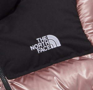Ao The North Face Novelty Nuptse Down Jacket 'Pink' NJ1DP87L