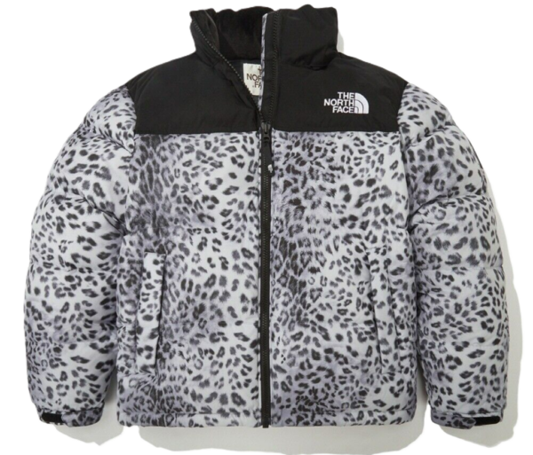 Ao The North Face Novelty Nuptse Down Jacket 'Silver' NJ1DN51L