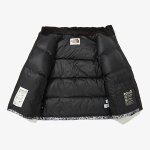 Ao The North Face Novelty Nuptse Down Jacket 'Silver' NJ1DN51L