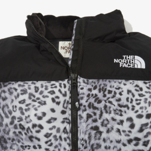Ao The North Face Novelty Nuptse Down Jacket 'Silver' NJ1DN51L