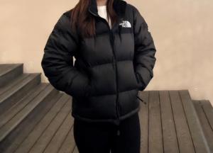 Ao The North Face Novelty Nuptse Down ‘Black’ NJ1DP62J