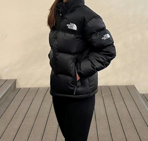 Ao The North Face Novelty Nuptse Down ‘Black’ NJ1DP62J