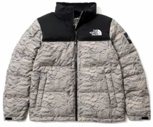 Ao The North Face Novelty Nuptse 'Grey' NJ1DM66K