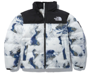 Ao The North Face Novelty Nuptse Jacket 'White Asian' NJ1DN51J
