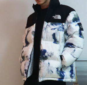 Ao The North Face Novelty Nuptse Jacket 'White Asian' NJ1DN51J