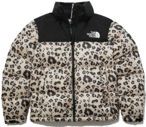 Ao The North Face Novelty Nuptse 'Multicolor' NJ1DN51Q