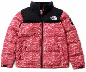 Ao The North Face Novelty Nuptse 'Red' NJ1DM66L