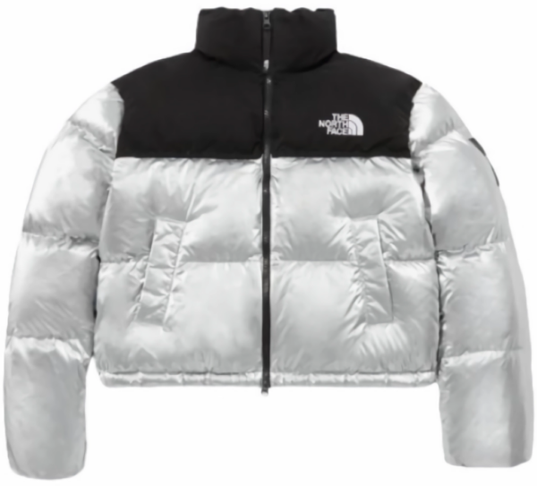 Ao The North Face Nuptse Down Jackets 'Silver' NJ1DP87J