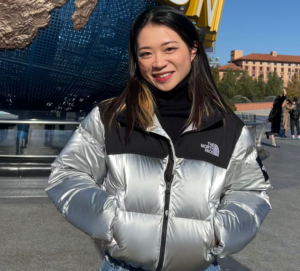 Ao The North Face Nuptse Down Jackets 'Silver' NJ1DP87J