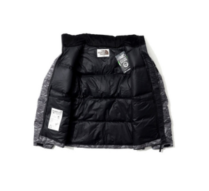 Ao The North Face Nuptse Jacket 'Grey' NJ1DM66J