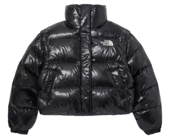 Ao The North Face Street Style Down Jackets 'Black' NJ1DP86J