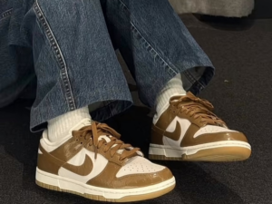 Giay Nike Dunk Low 'Ale Brown' FJ2260-001