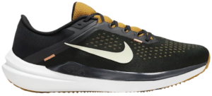 Giay Nike Winflo 10 'Amber Brown' DV4022-009