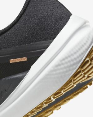 Giay Nike Winflo 10 'Amber Brown' DV4022-009