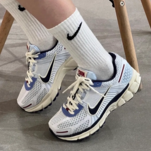 Giay Nike Zoom Vomero 5 'Blue Tint' FV8111-451